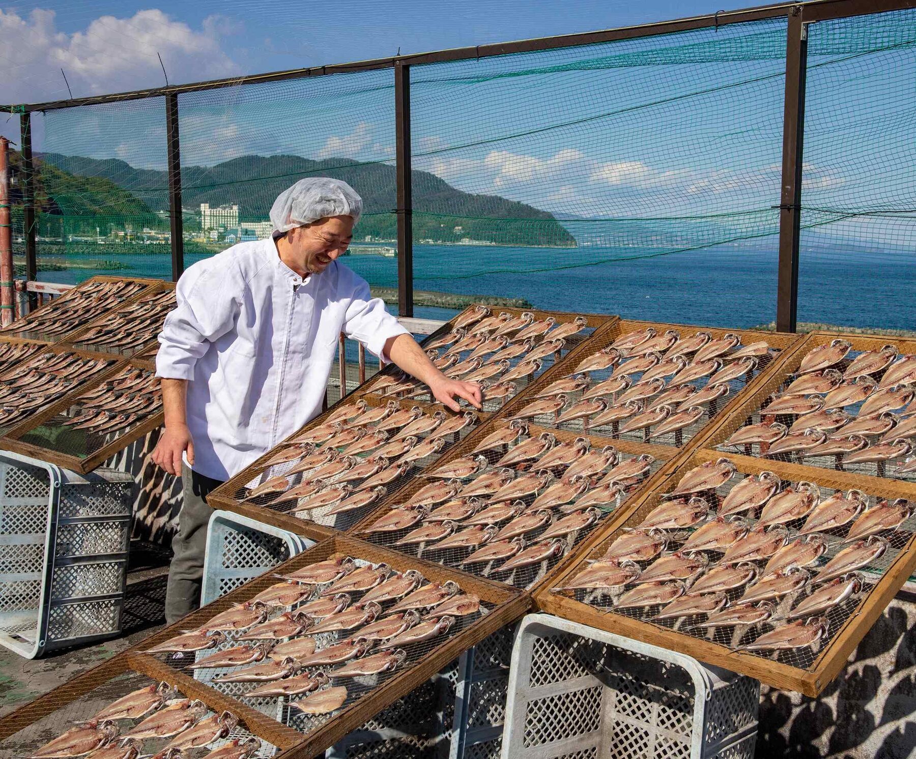 魚光るの干物